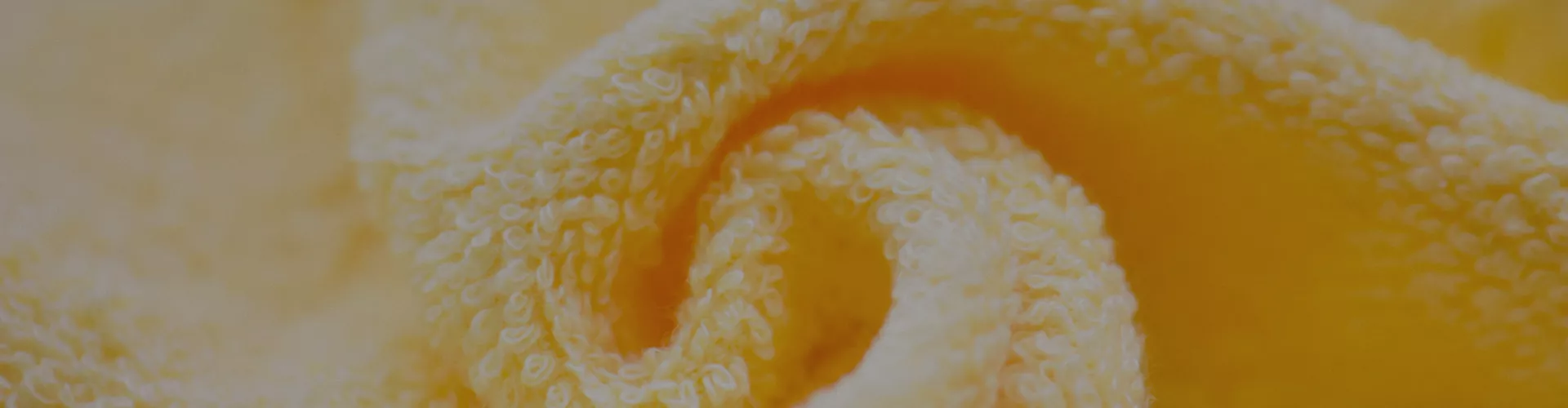 collection-banner-image