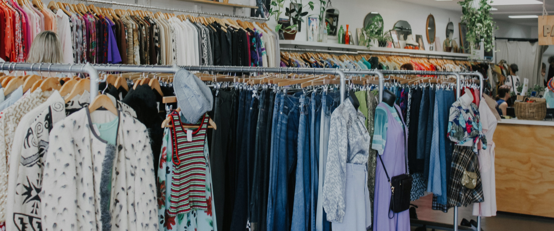 collection-banner-image