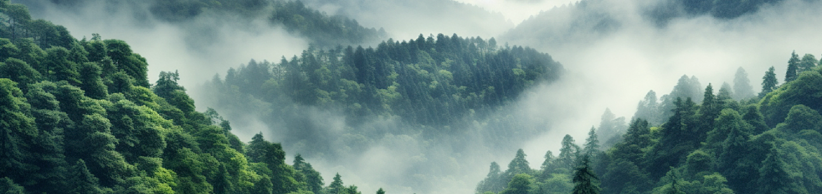 slider image slider_item_2